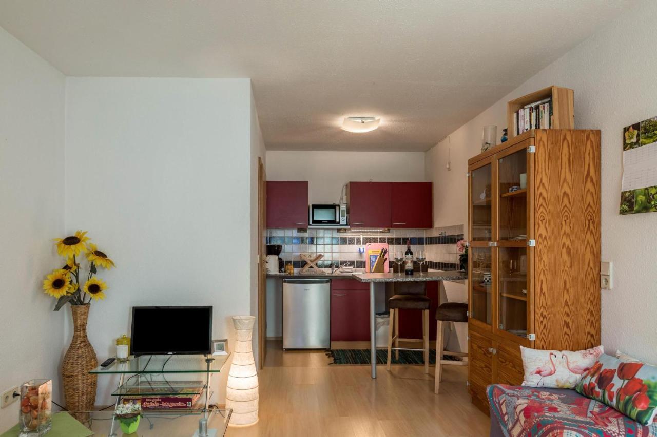 Ferienwohnung Alina ジンゲン エクステリア 写真